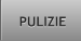 PULIZIE PULIZIE
