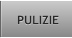 PULIZIE PULIZIE